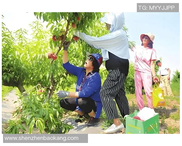 果园采摘乐趣：亲近大自然，享受丰收季节的甜美体验